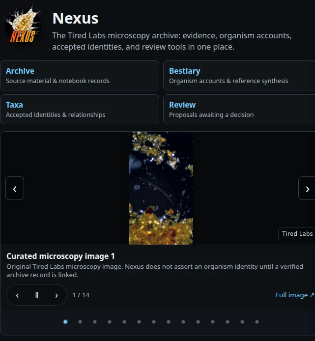 Cropped view of the real Nexus interface, with archive navigation and original microscopy imagery.